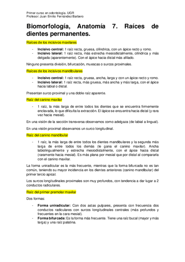 Miniatura del documento Anatomía 7. Raíces..pdf