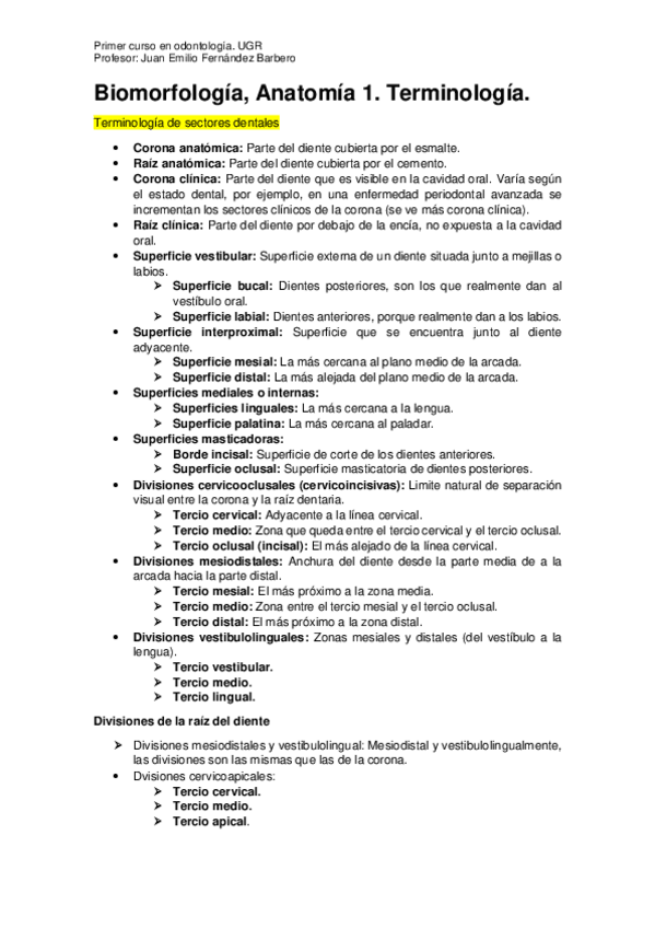 Miniatura del documento Anatomía Completo..pdf