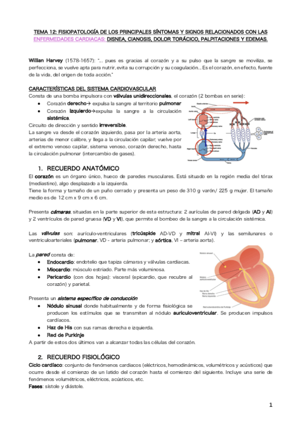 Miniatura del documento Tema 12.pdf