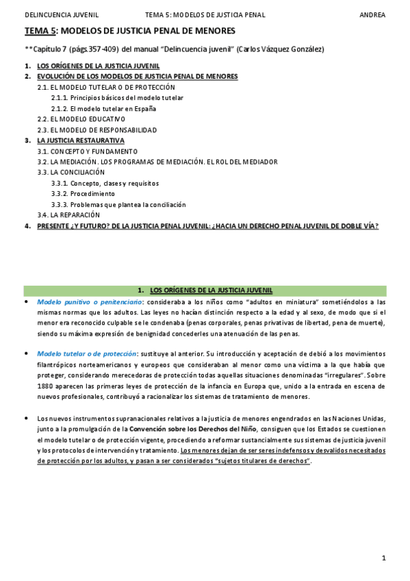 Miniatura del documento DELINCUENCIA JUVENIL_TEMA 5_ANDREA.pdf