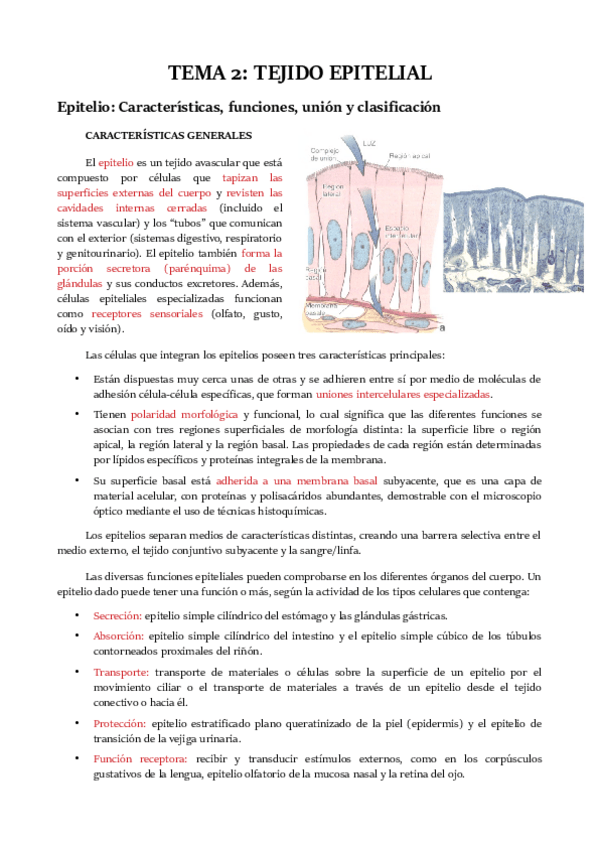 Miniatura del documento TEMA 2.pdf