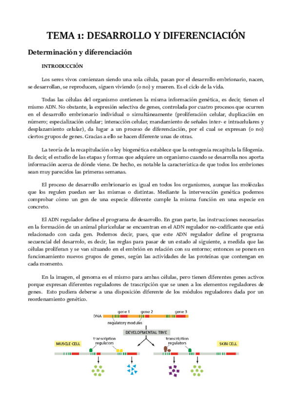 Miniatura del documento TEMA 1.pdf