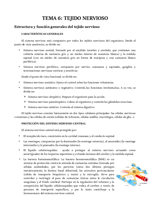 Miniatura del documento TEMA 6.pdf