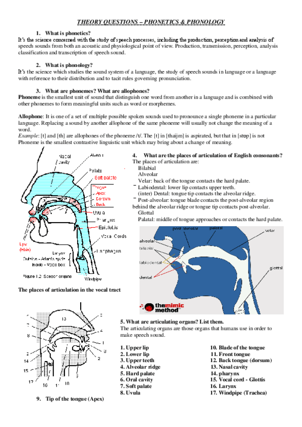 Miniatura del documento PHONETICS & PHONOLOGY.pdf