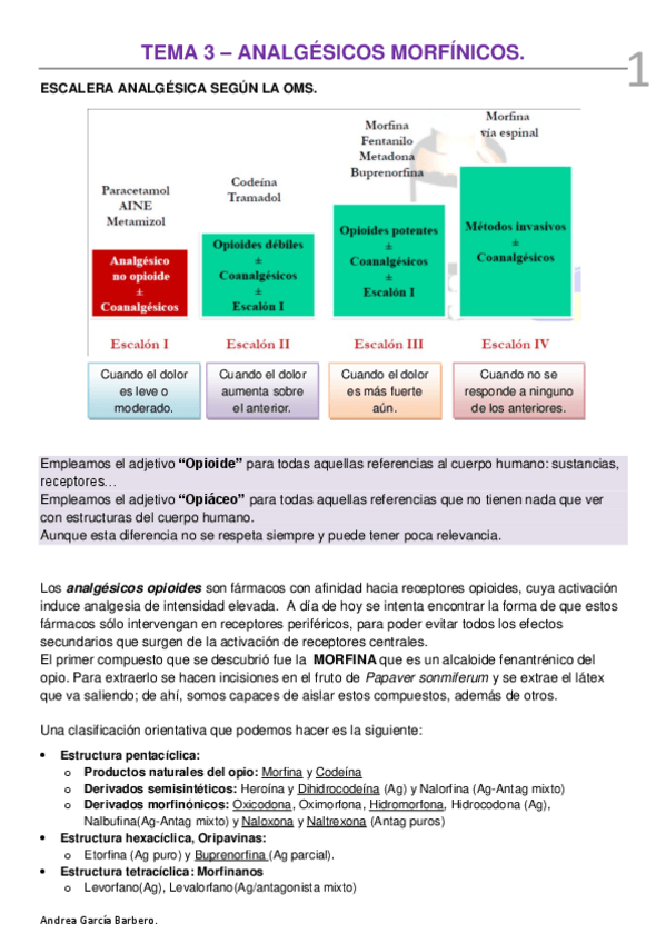 Miniatura del documento TEMA 3 - ANALGÉSICOS OPIOIDES.pdf