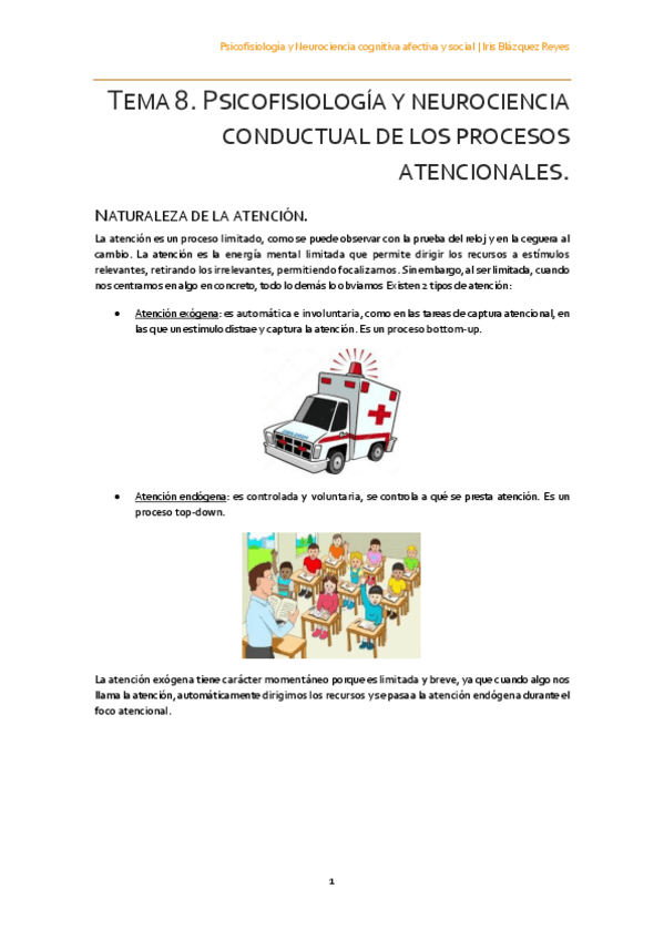 Miniatura del documento TEMA 8. PSICOFISIOLOGÍA Y NEUROCIENCIA CONDUCTUAL DE LOS PROCESOS ATENCIONALES.pdf