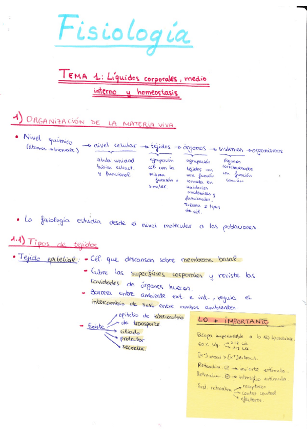 Miniatura del documento fisio I todo.pdf