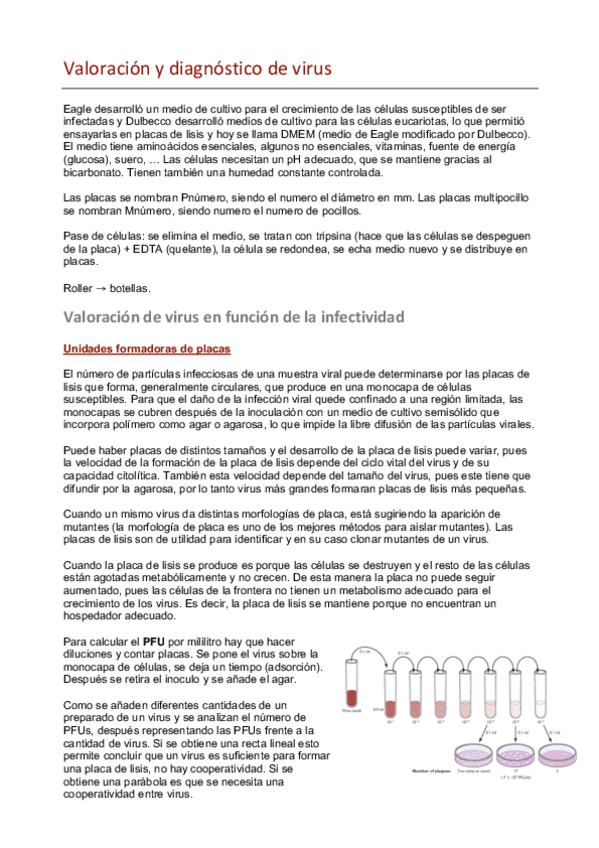 Miniatura del documento Valoración y diagnóstico de virus.pdf