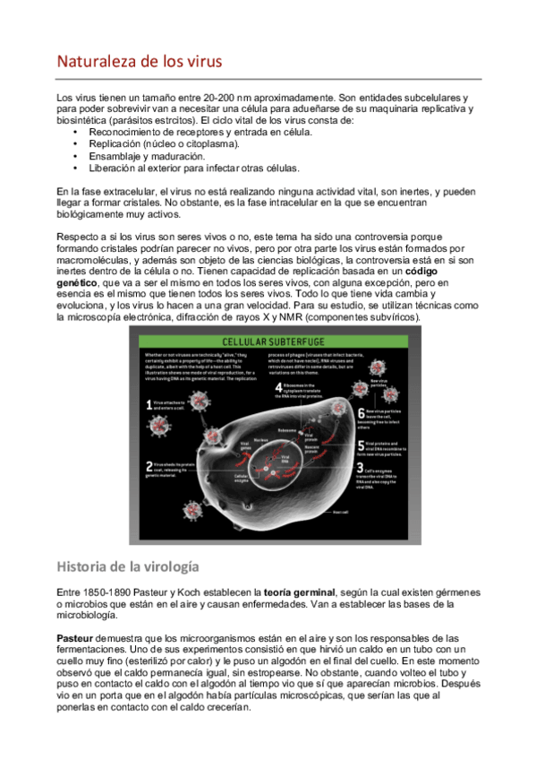 Miniatura del documento Impacto de los virus en la biosfera.pdf