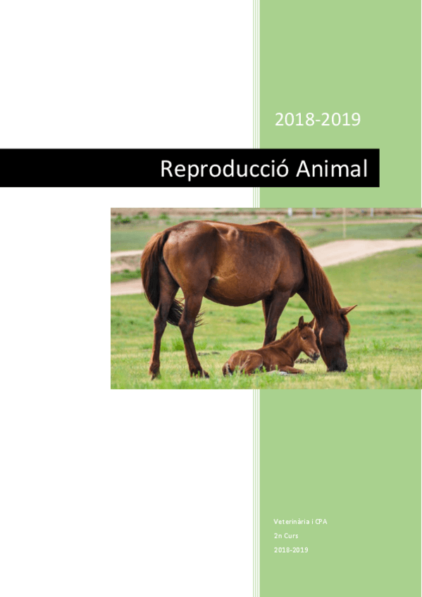 Miniatura del documento Reproducció Animal.pdf