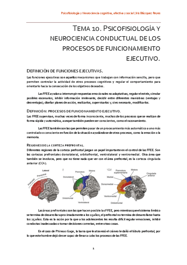 Miniatura del documento TEMA 10. PSICOFISIOLOGÍA Y NEUROCIENCIA CONDUCTUAL DE LOS PROCESOS DE FUNCIONAMIENTO EJECUTIVO.pdf