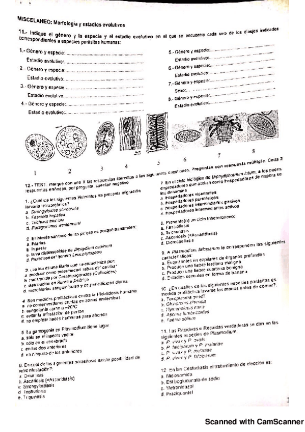 Miniatura del documento exámenes parasitology.pdf