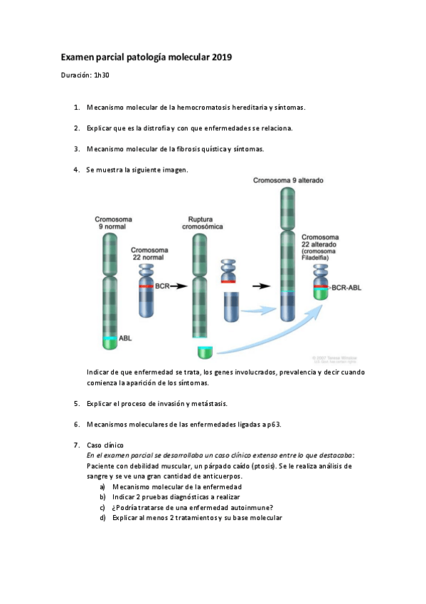 Miniatura del documento 0_Examen parcial patología molecular 2019.pdf
