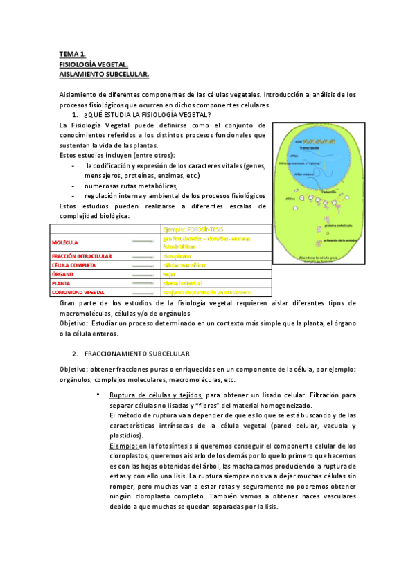 Miniatura del documento Todos los temas completos.pdf