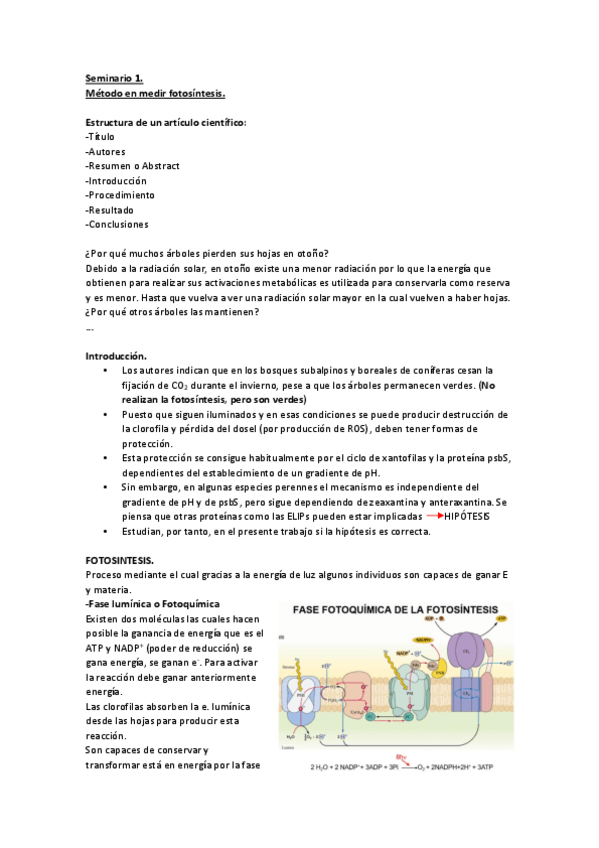 Miniatura del documento Seminario.pdf