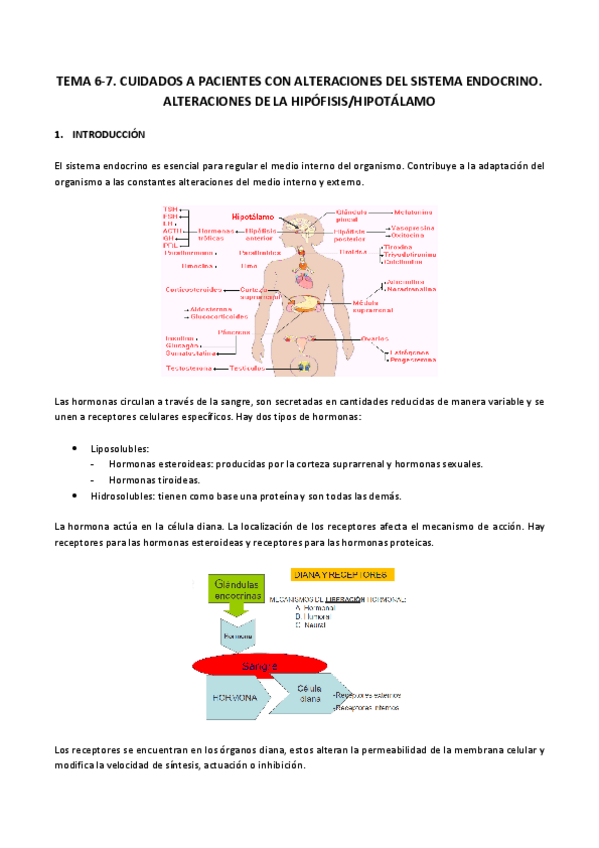 Miniatura del documento Tema 6- 7. Cuidados del paciente con alteraciones del sistema endocrino.pdf