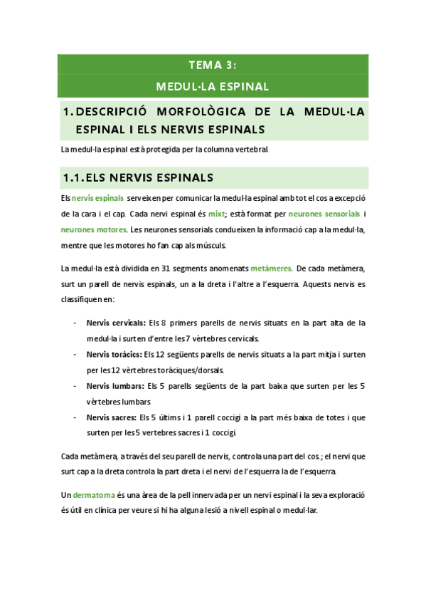 Miniatura del documento Medul·la espinal.pdf
