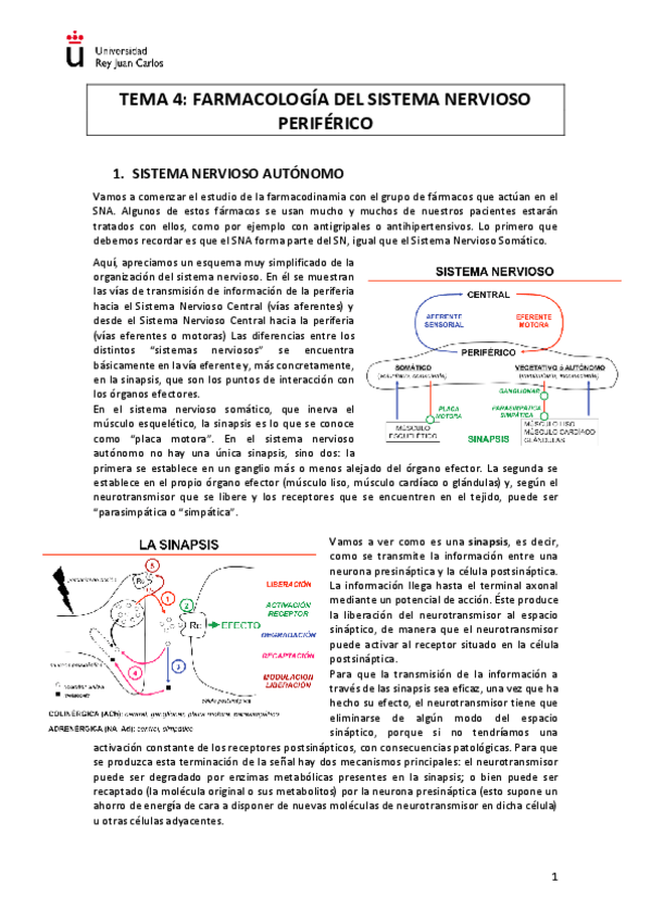 Miniatura del documento TEMA 4 - Farmacología del SNP.pdf