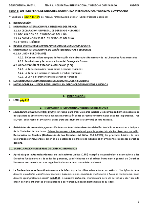 Miniatura del documento DELINCUENCIA JUVENIL_TEMA 6_ANDREA.pdf