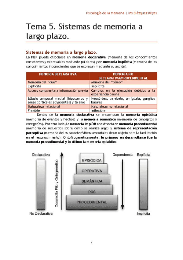 Miniatura del documento TEMA 5. SISTEMAS DE MEMORIA A LARGO PLAZO.pdf