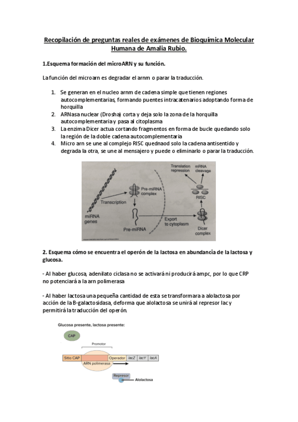 Miniatura del documento Recopilacion preguntas bioquimica primer parcial amalia rubio..pdf