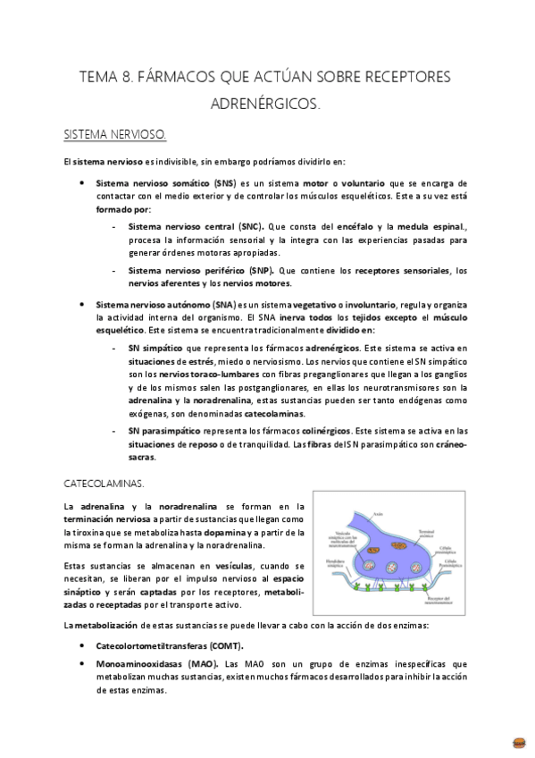 Miniatura del documento TEMA 8..pdf
