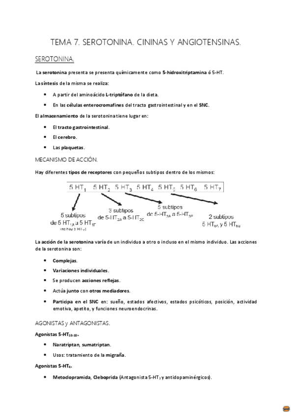 Miniatura del documento TEMA 7..pdf