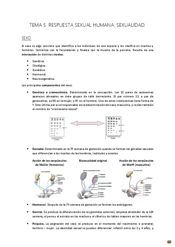 Miniatura del documento TEMA 5 MATERNO..pdf