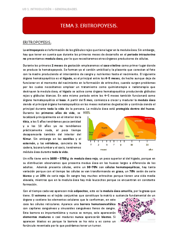 Miniatura del documento UD1 TEMA 3.pdf