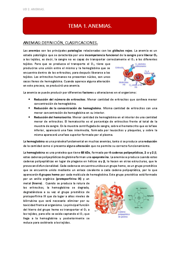 Miniatura del documento UD2 TEMA 1.pdf