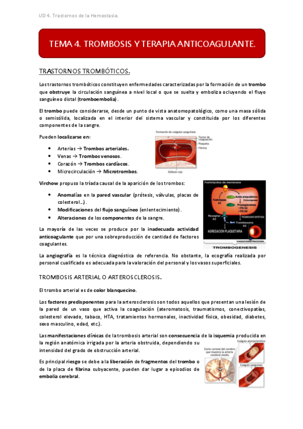 Miniatura del documento UD4 TEMA 4.pdf