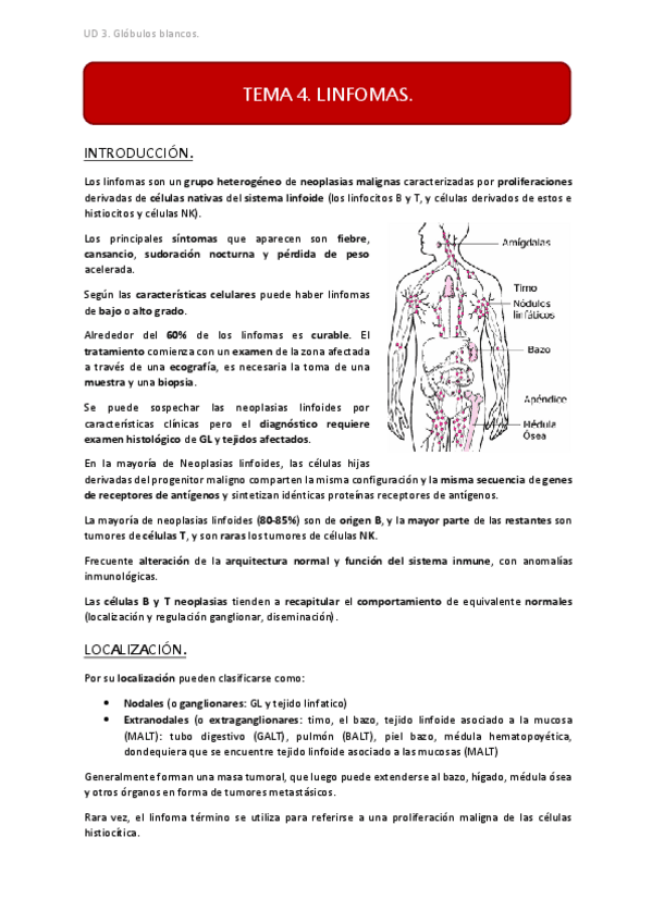 Miniatura del documento UD3 TEMA 4.pdf