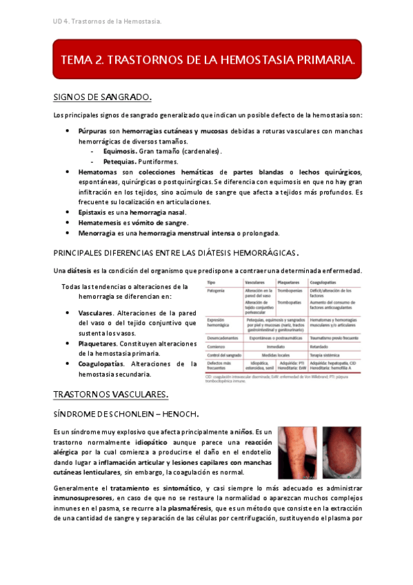 Miniatura del documento UD4 TEMA 2.pdf