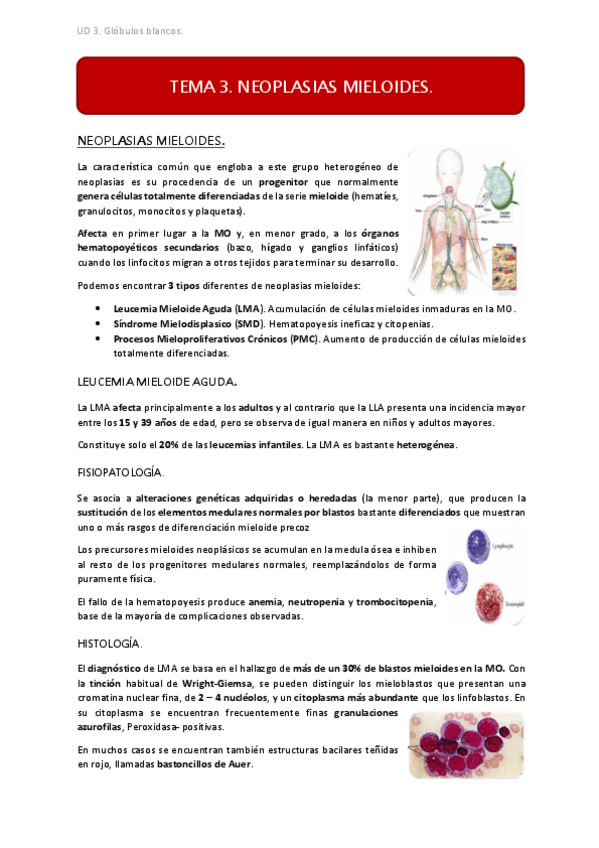 Miniatura del documento UD3 TEMA 3.pdf
