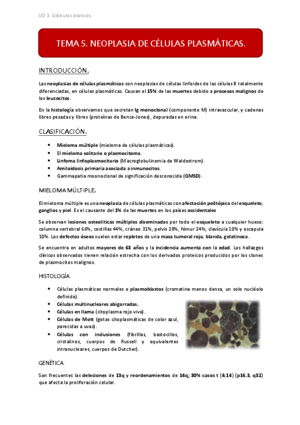 Miniatura del documento UD3 TEMA 5.pdf