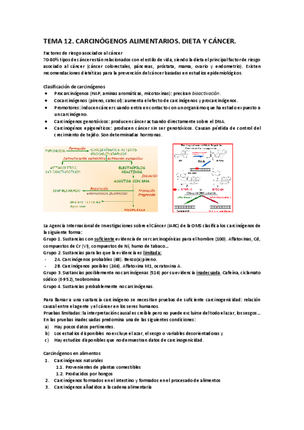 Miniatura del documento TEMA 12.pdf