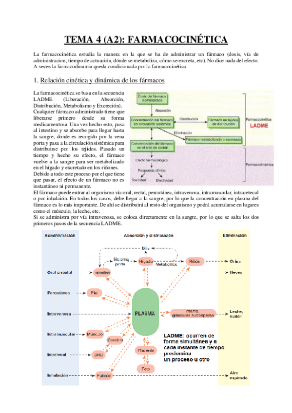 Miniatura del documento Tema 4 - Farmacocinética.pdf