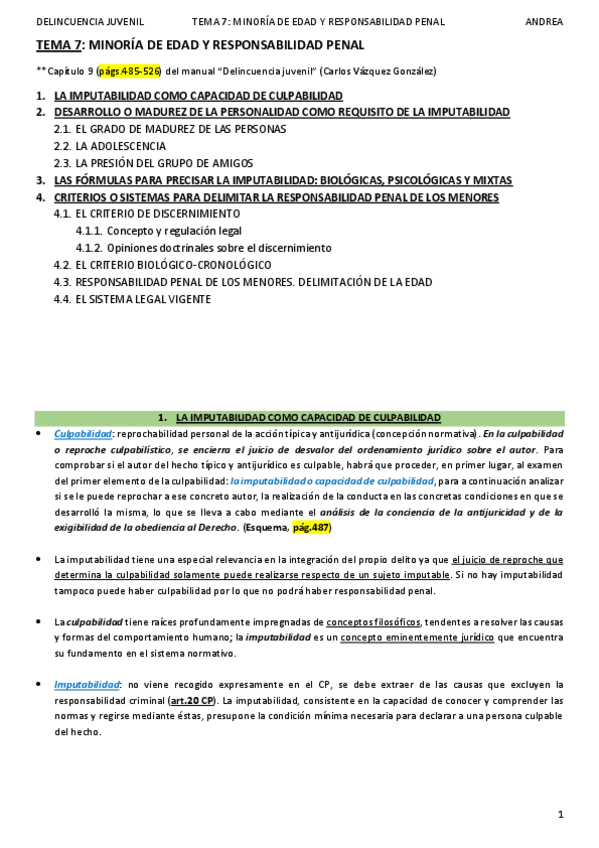 Miniatura del documento DELINCUENCIA JUVENIL_TEMA 7_ANDREA.pdf