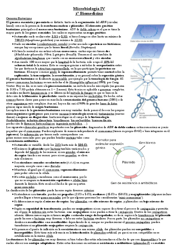 Miniatura del documento Tema 3 Microbiología.pdf