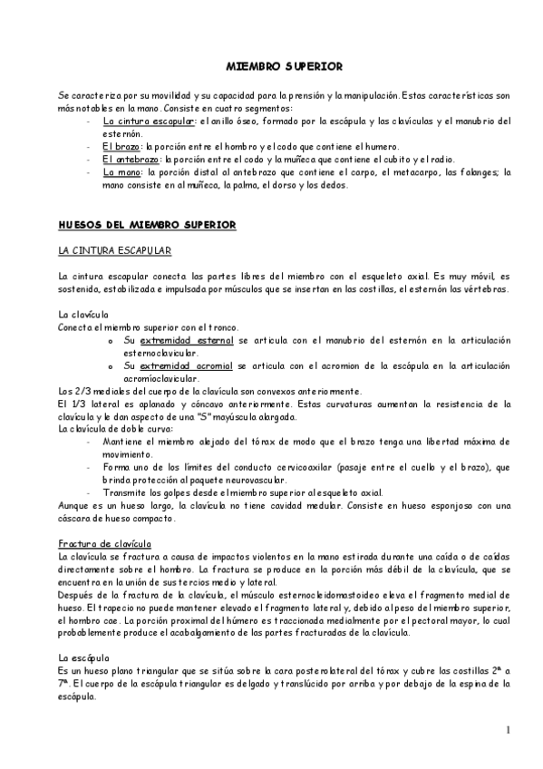 Miniatura del documento 5. Miembro superior.pdf