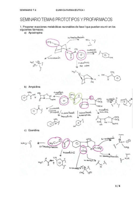 Miniatura del documento TEMA 6 SEMINARIO PROCESOS METABOLICOS EN LOS FARMACOS QF1 DORI.docx.pdf