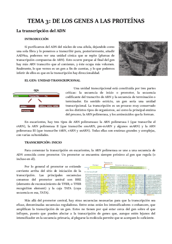 Miniatura del documento TEMA 3.pdf