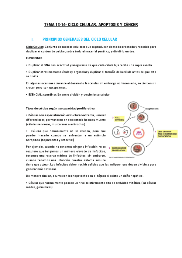 Miniatura del documento TEMA 13-14 pdf.pdf