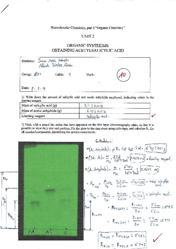 Miniatura del documento Organic Chemistry Lab session 2.pdf