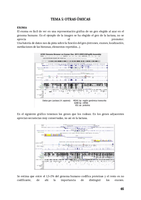 Miniatura del documento Tema 5.pdf