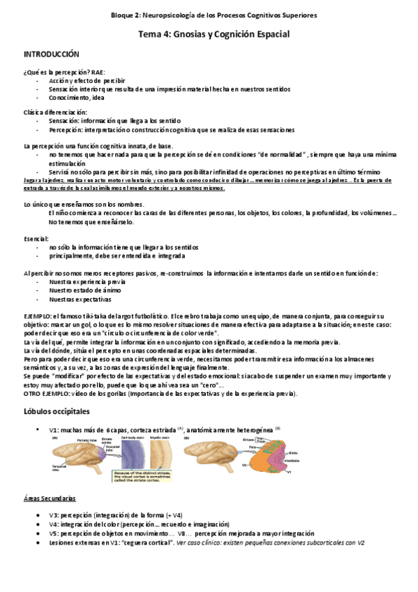 Miniatura del documento Tema 4. Terminado.pdf