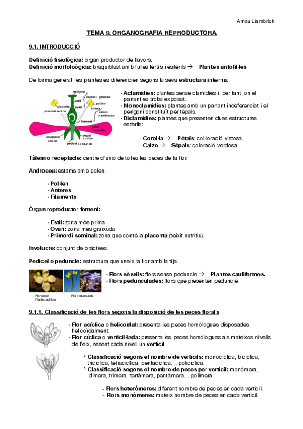 Miniatura del documento Apunts botànica farmacèutica (Tema 9).pdf