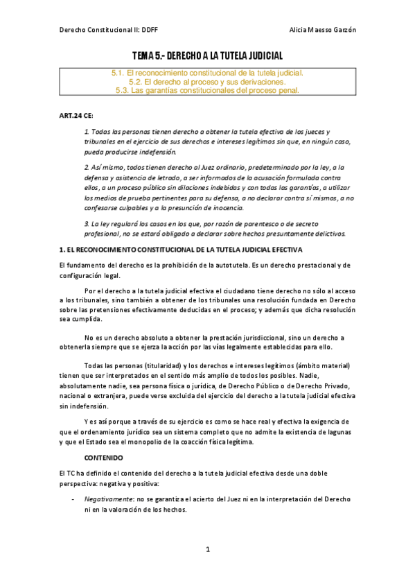 Miniatura del documento TEMA 5. DERECHO A LA TUTELA JUDICIAL EFECTIVA. Héctor..pdf