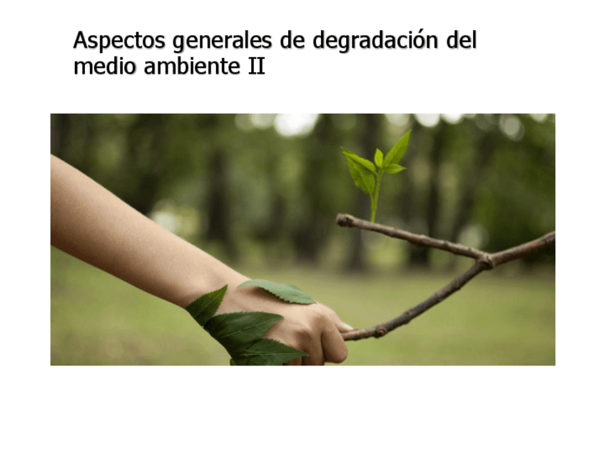Miniatura del documento Aspectos Generales de la Degradacion 2.pdf
