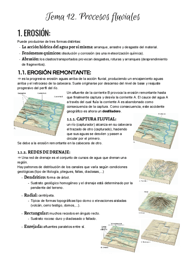 Miniatura del documento Tema 12. Procesos fluviales.pdf